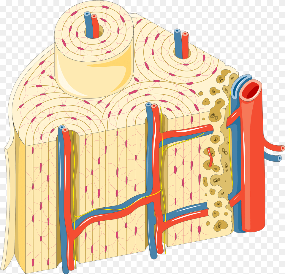 Bone Unit Clip Art, Birthday Cake, Cake, Cream, Dessert Png