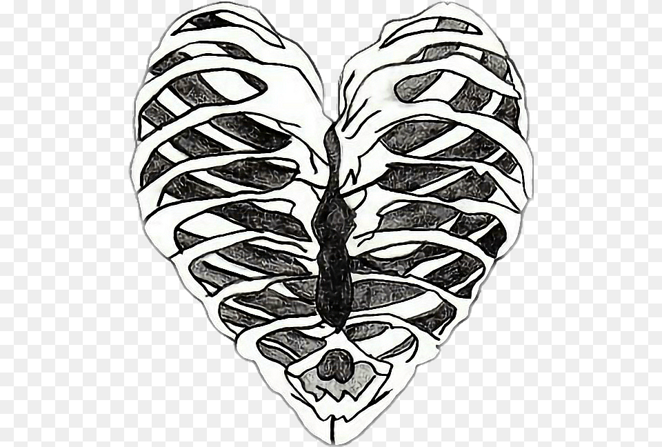 Bones Drawing Heart Skeleton Heart Drawing, Person, Ct Scan, Face, Head Free Png Download