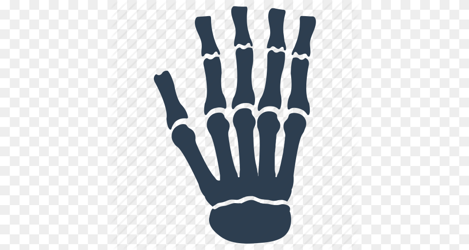 Bones Hand Osteology Skeleton Icon, Clothing, Glove, Person Png