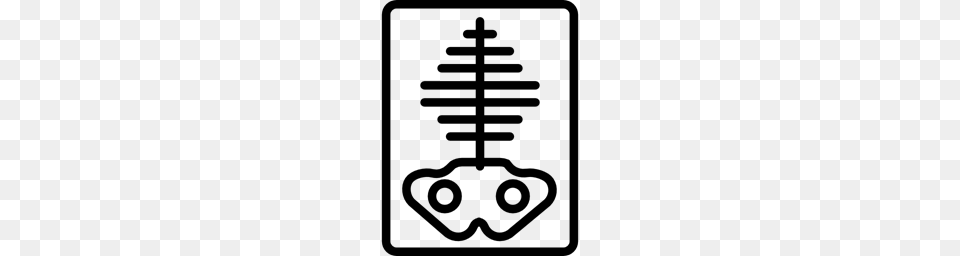 Bones Medical Skeleton X Rays X Ray Icon, Gray Free Png