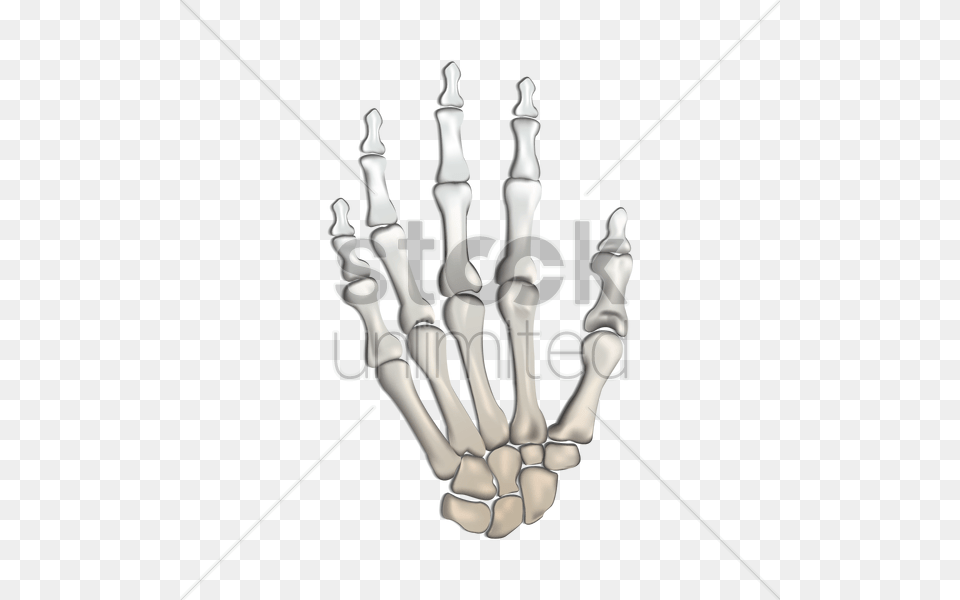 Bones Of Human Hand Vector Image, X-ray, Festival, Hanukkah Menorah, Electronics Png