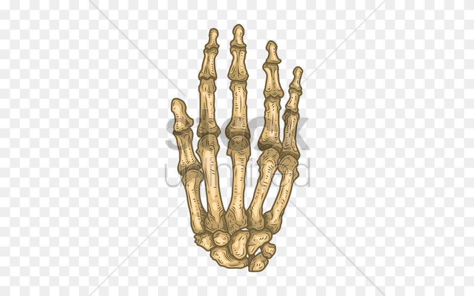 Bones Of Human Hand Vector Image, Bow, Weapon Png
