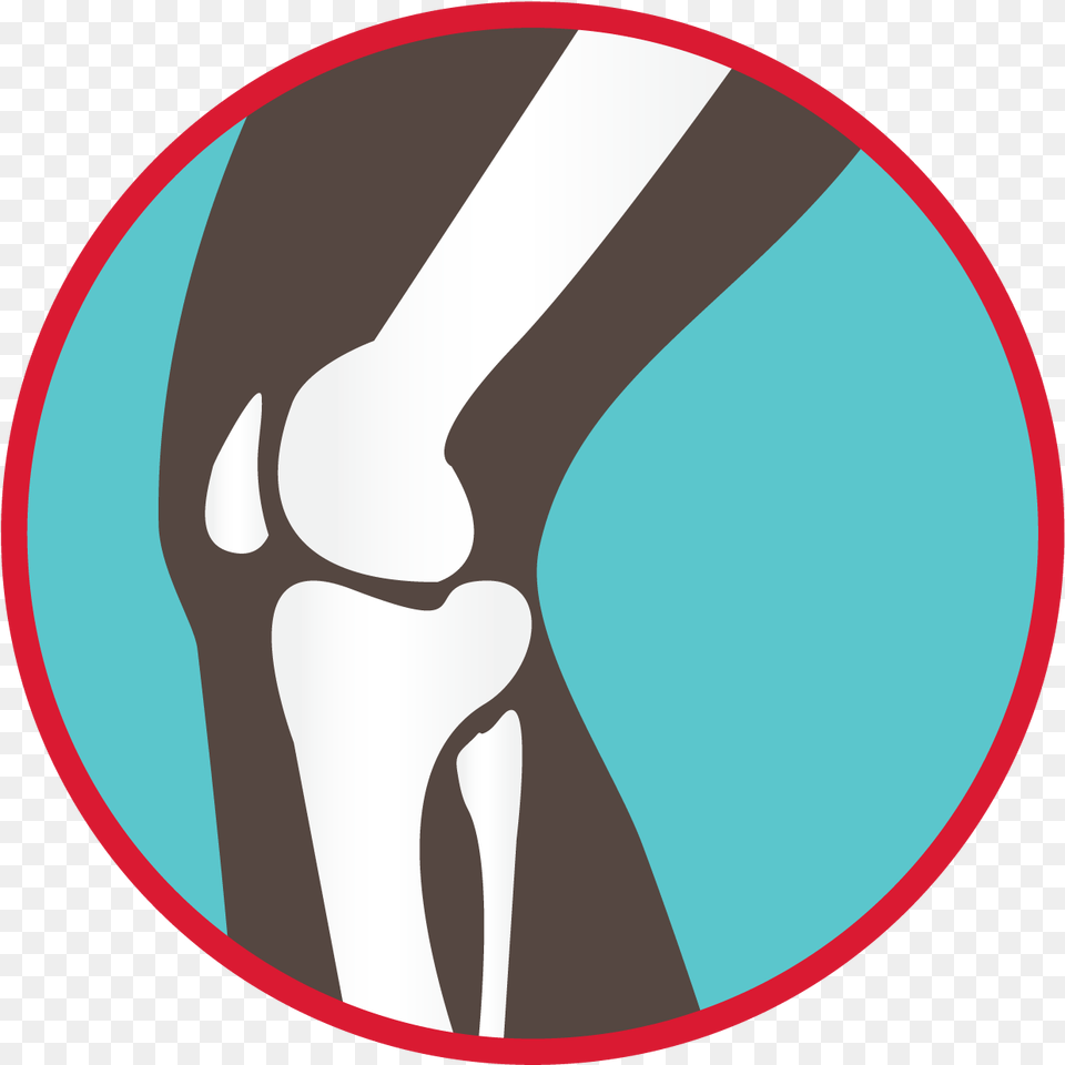 Bones Of The Knee Joint Graphic Howth, Person, Body Part, Hand, Water Free Png