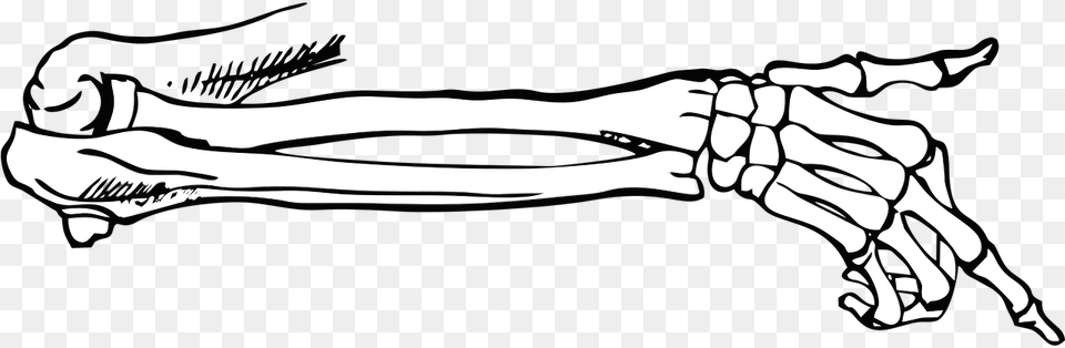 Bones Skeleton Point Body Vector Vector Skeleton Hand Pointing, Stencil, Electronics, Hardware, Adult Png Image