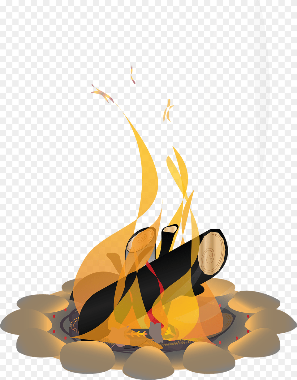 Bonfire, Fire, Flame, Animal, Fish Free Png Download