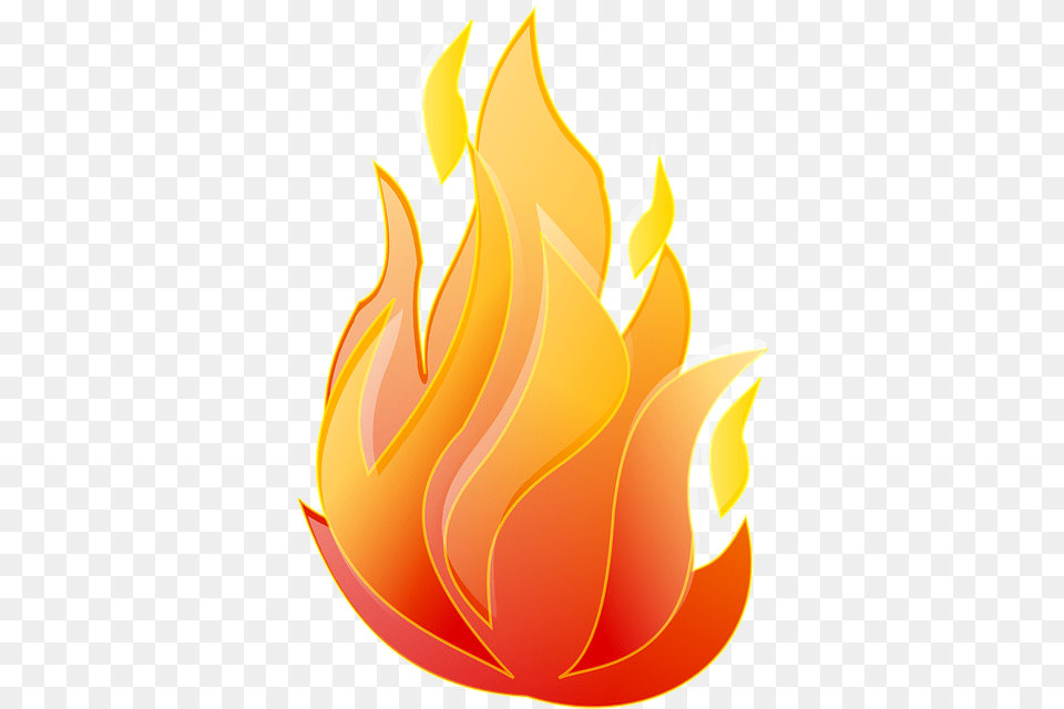 Bonfire, Fire, Flame, Animal, Fish Png Image