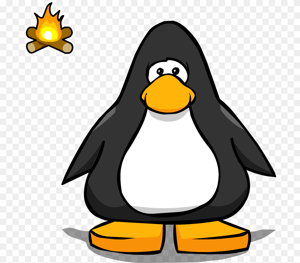 Bonfire Pin Pc Club Penguin, Animal, Bird Free Png Download