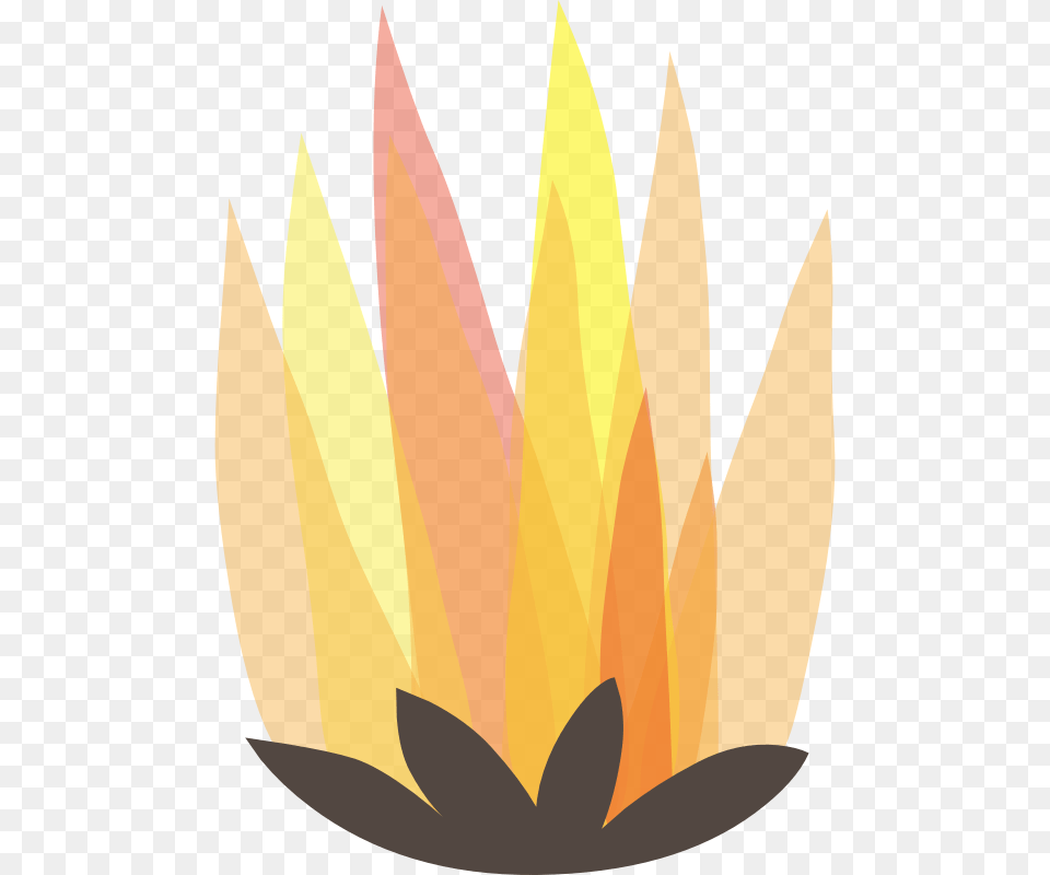 Bonfires, Flower, Plant, Petal, Leaf Free Png Download