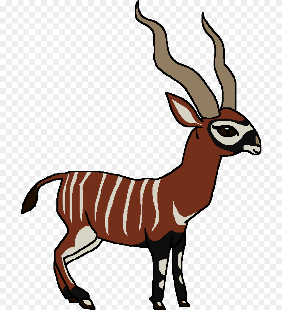 Bongo Deer, Animal, Wildlife, Mammal, Person Png