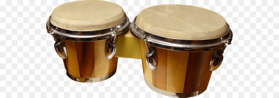 Bongos Drum, Musical Instrument, Percussion, Conga Png