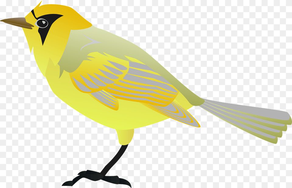 Bonin White Eye Bird Clipart, Animal, Canary, Finch, Fish Png