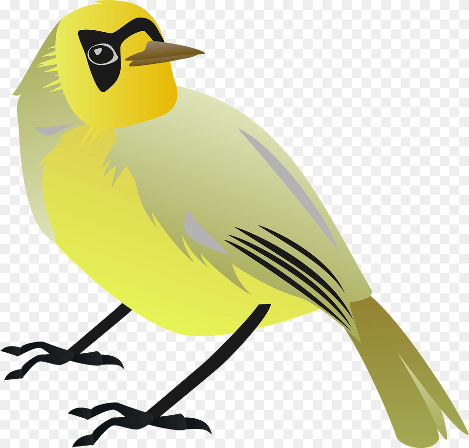 Bonin White Eye Bird Clipart, Animal, Finch, Fish, Sea Life Png Image