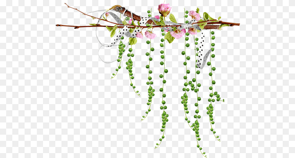 Bonjour Tous Mes Amis S, Flower, Flower Arrangement, Plant, Petal Png Image