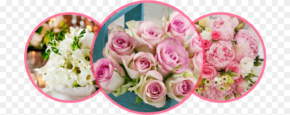 Bonne Journe Bon Lundi, Art, Plant, Graphics, Flower Bouquet Png