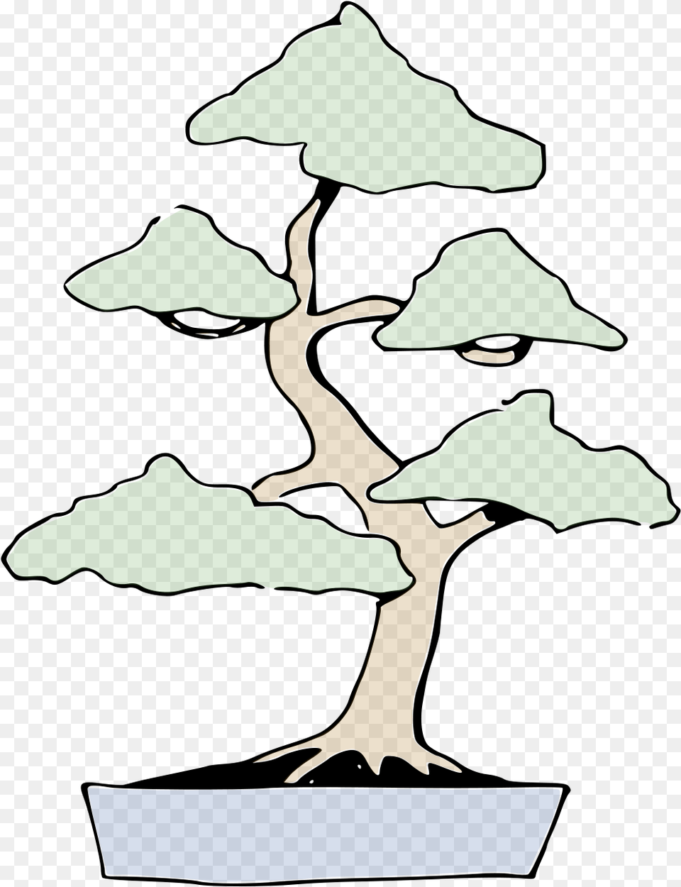 Bonsai, Plant, Potted Plant, Tree, Person Free Png