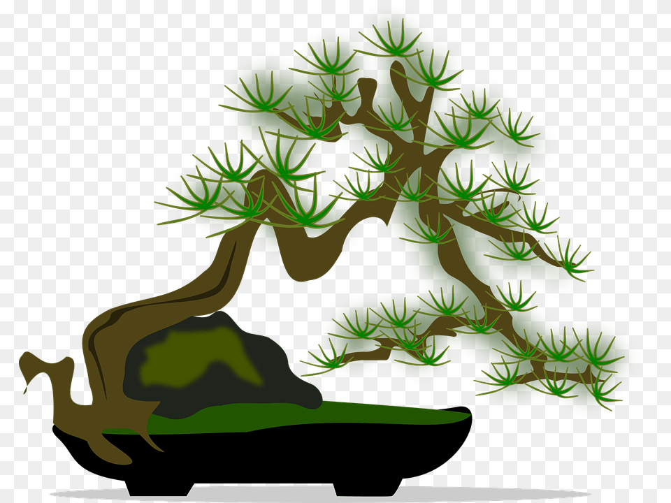 Bonsai Green, Plant, Potted Plant, Tree Free Png Download