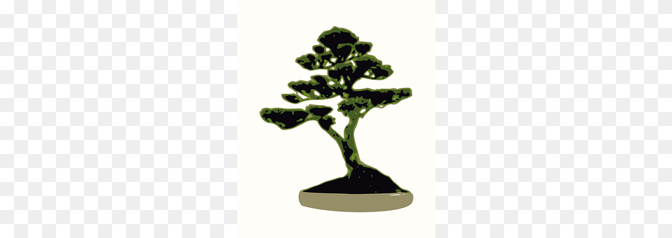 Bonsai Plant, Potted Plant, Tree, Animal Free Png