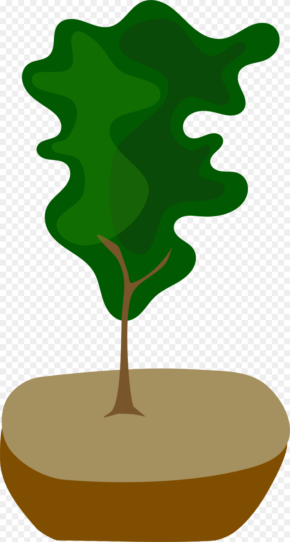 Bonsai, Plant, Tree, Leaf, Potted Plant Png Image