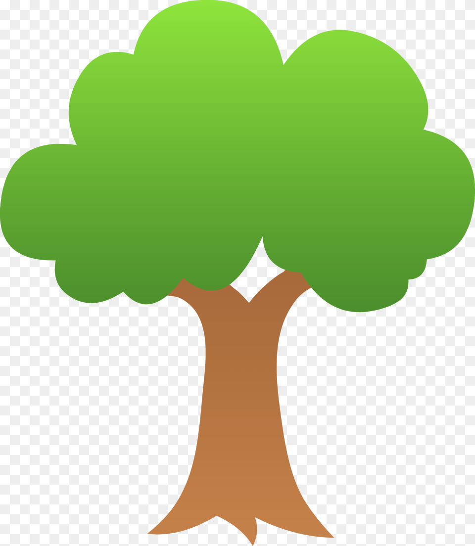 Bonsai, Green, Plant, Tree, Tree Trunk Free Png