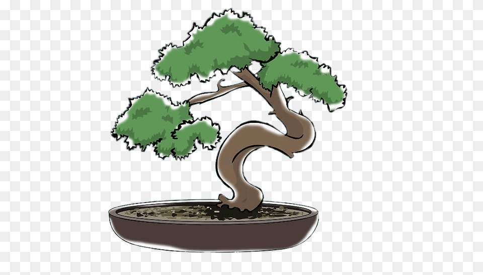 Bonsai Clipart, Plant, Potted Plant, Tree Free Png Download