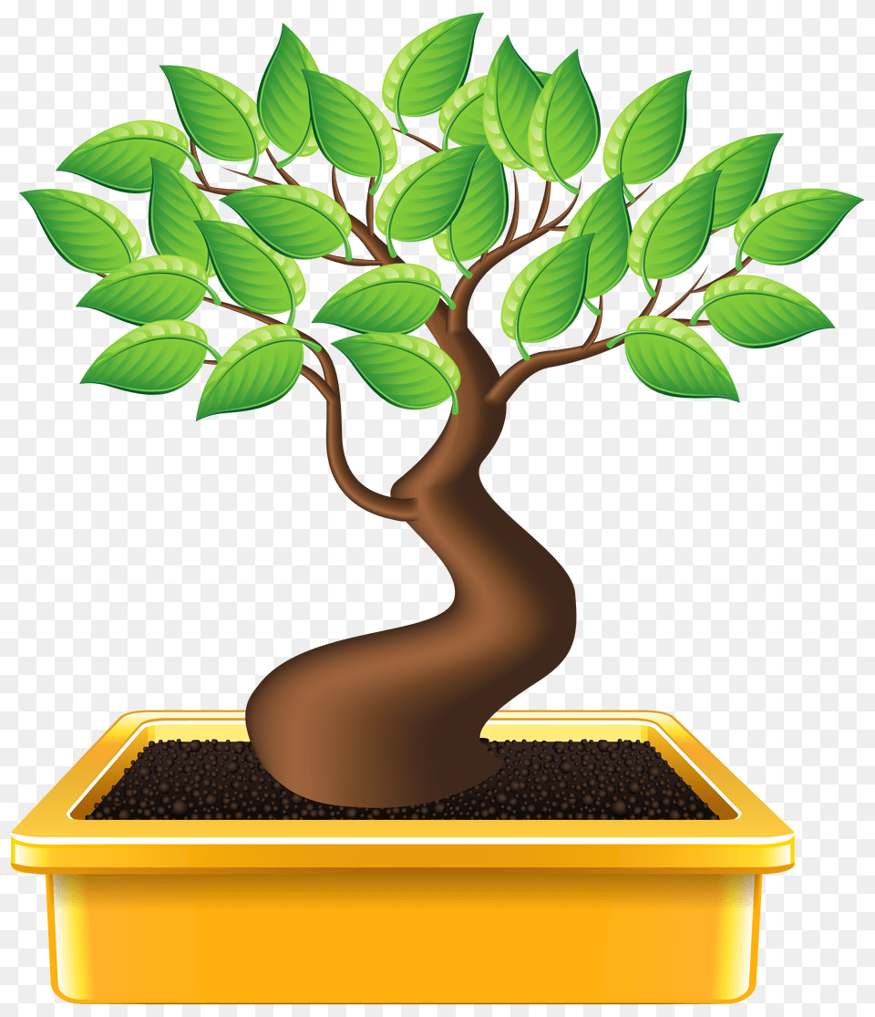Bonsai Clipart, Leaf, Plant, Potted Plant, Tree Free Transparent Png