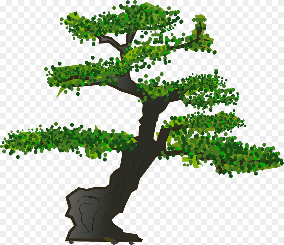 Bonsai Clipart, Green, Oak, Plant, Potted Plant Png