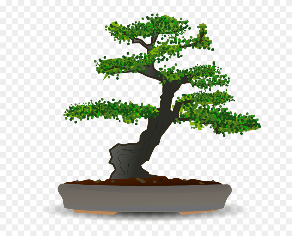 Bonsai Clipart, Plant, Potted Plant, Tree Free Png