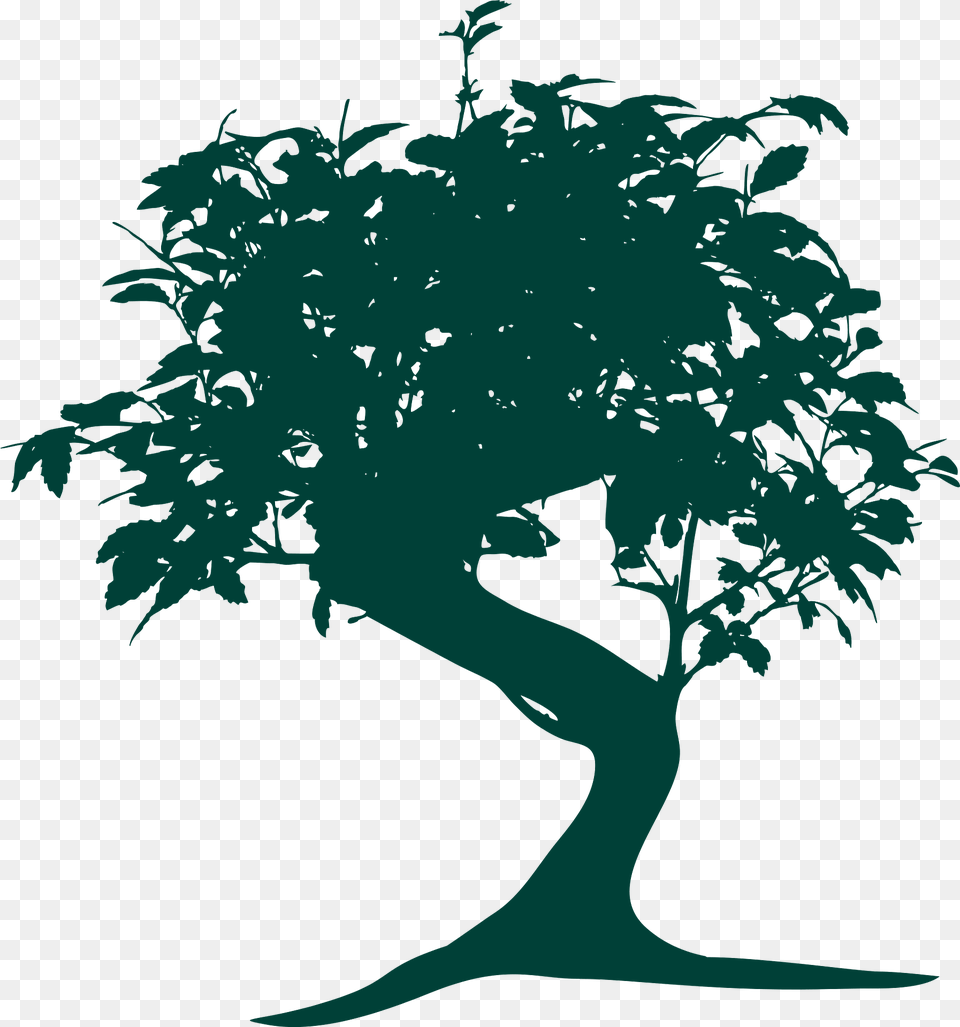 Bonsai Clipart, Plant, Potted Plant, Tree, Art Free Png Download