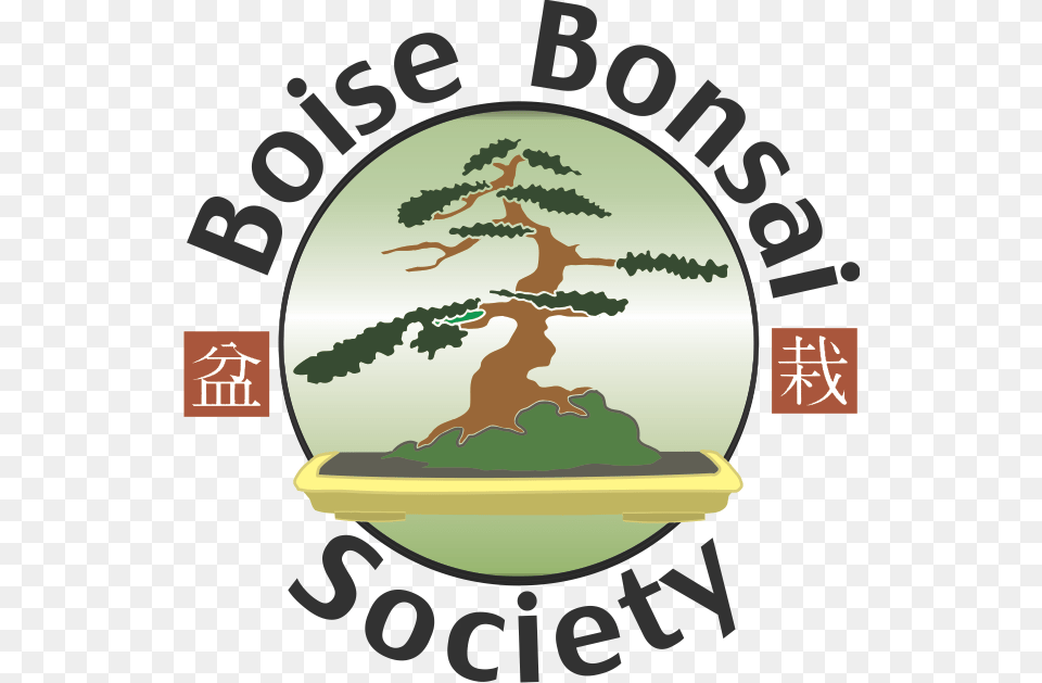Bonsai Clipart Ancient Tree Boise Bonsai Society, Plant, Potted Plant, Ammunition, Grenade Png