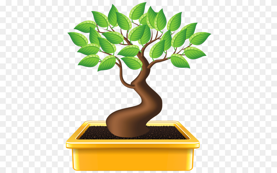 Bonsai Clipart Image Bonsai Clipart Images, Leaf, Plant, Potted Plant, Tree Free Png Download