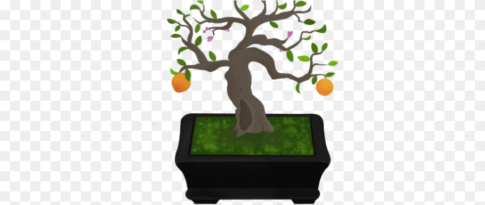 Bonsai Clipart Manggo Sageretia Theezans, Plant, Potted Plant, Tree, Food Png