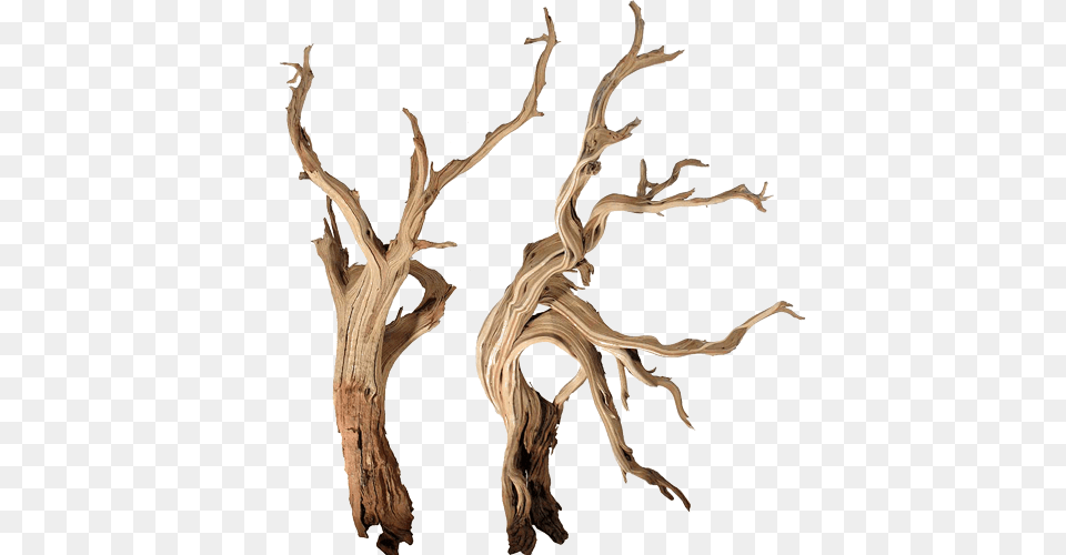 Bonsai Driftwood, Wood Free Png Download