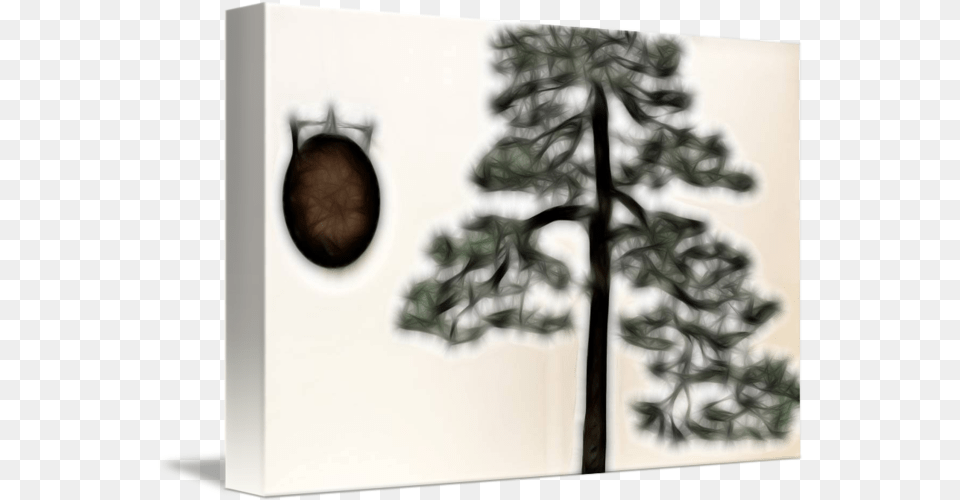 Bonsai Gong By Paul Coco Picture Frame, Plant, Tree, Potted Plant, Hole Png