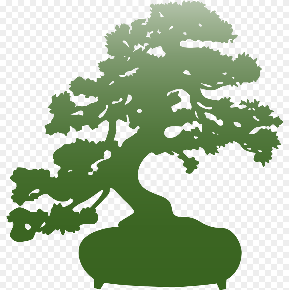 Bonsai Logotipos Karate Kid, Plant, Potted Plant, Tree, Baby Free Png