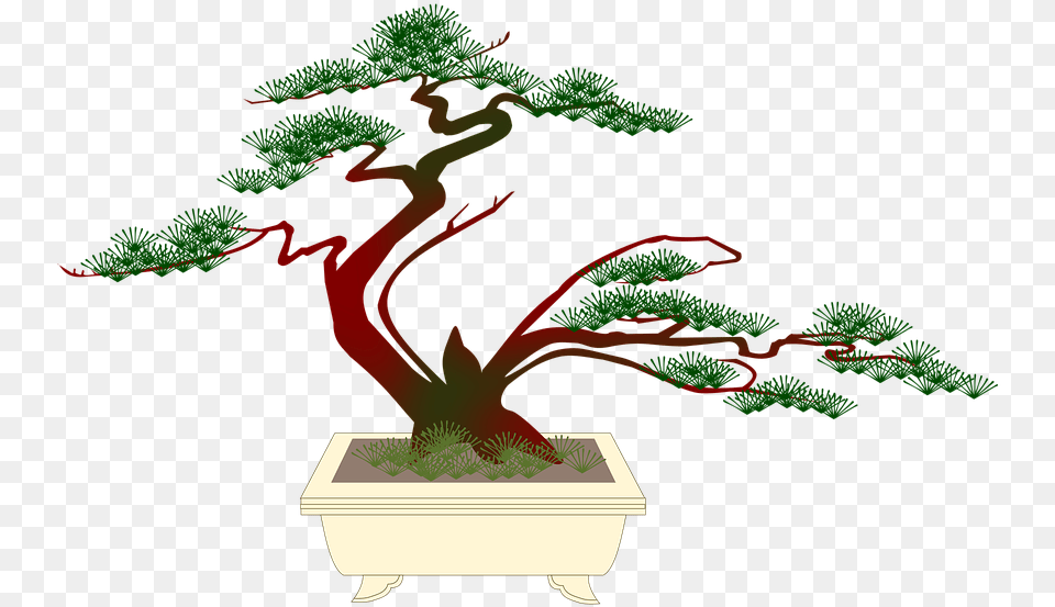 Bonsai Miniature Pine On Pixabay Bonzai Tree Cartoon, Plant, Potted Plant Free Png Download