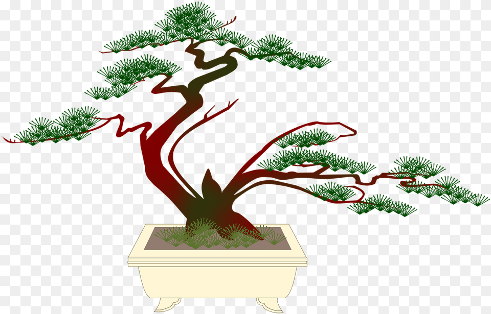 Bonsai Miniature Pine Picture Bonsai, Plant, Potted Plant, Tree Free Png