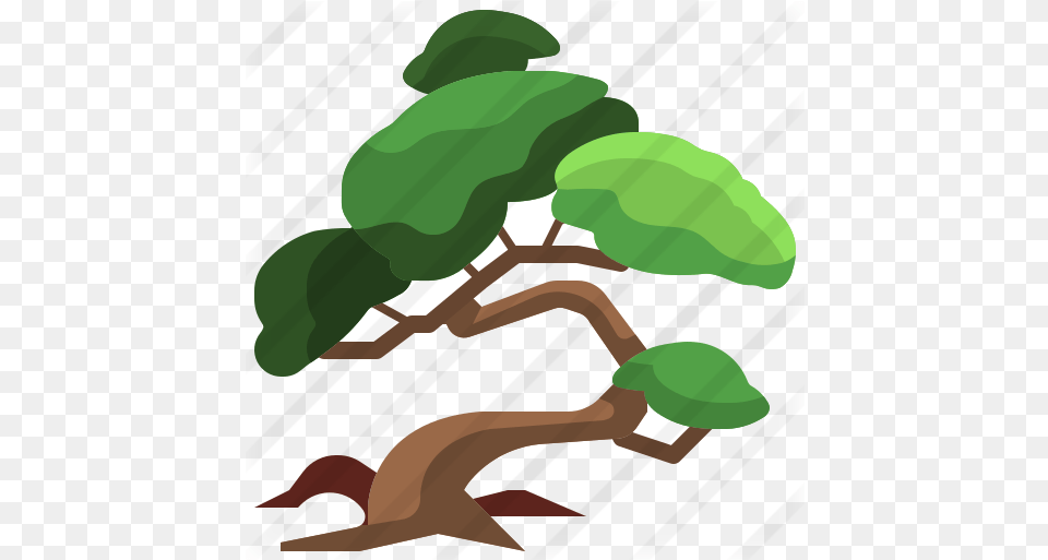 Bonsai Nature Icons Illustration, Green, Tree, Potted Plant, Plant Free Png