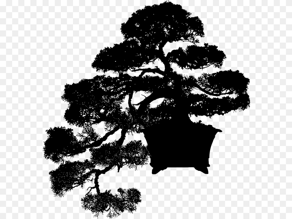 Bonsai Plant Silhouette Tree Mini Miniature Bonsai Silhouette, Gray Png