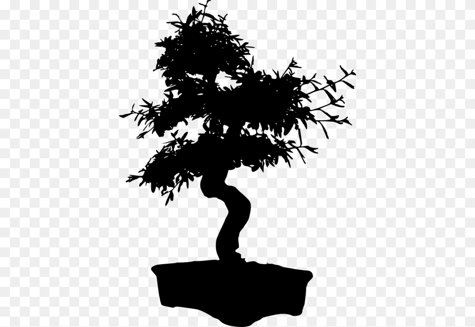 Bonsai Silhouette Images Bonsai Blanco Y Negro, Plant, Potted Plant, Tree, Person Free Png Download