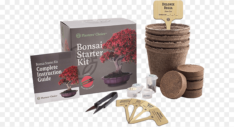 Bonsai Starter Kit Bonsai Tree Pinus Aristata, Potted Plant, Plant, Jar, Herbs Free Png