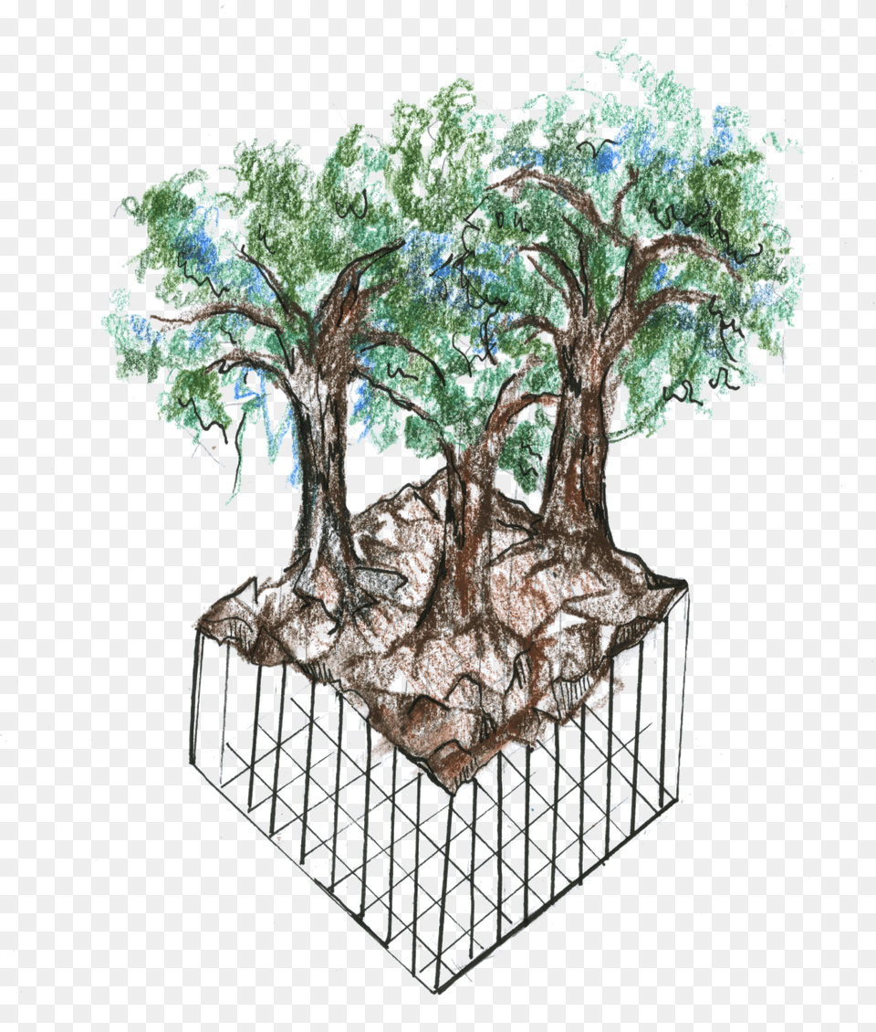 Bonsai Tree, Plant, Potted Plant, Art, Painting Free Png