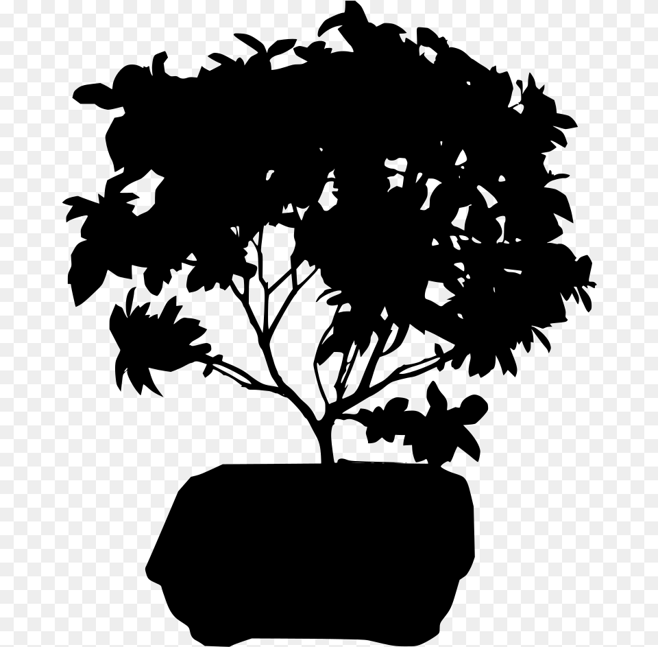 Bonsai Tree Background Ficus Bonsai, Gray Free Transparent Png