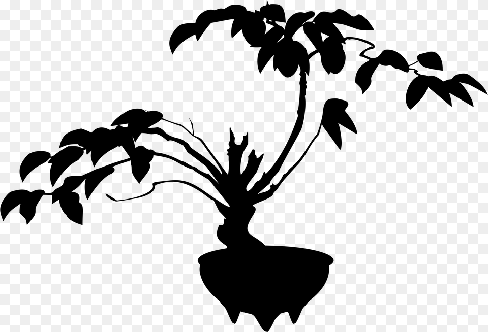 Bonsai Tree Bonsai, Gray Free Png