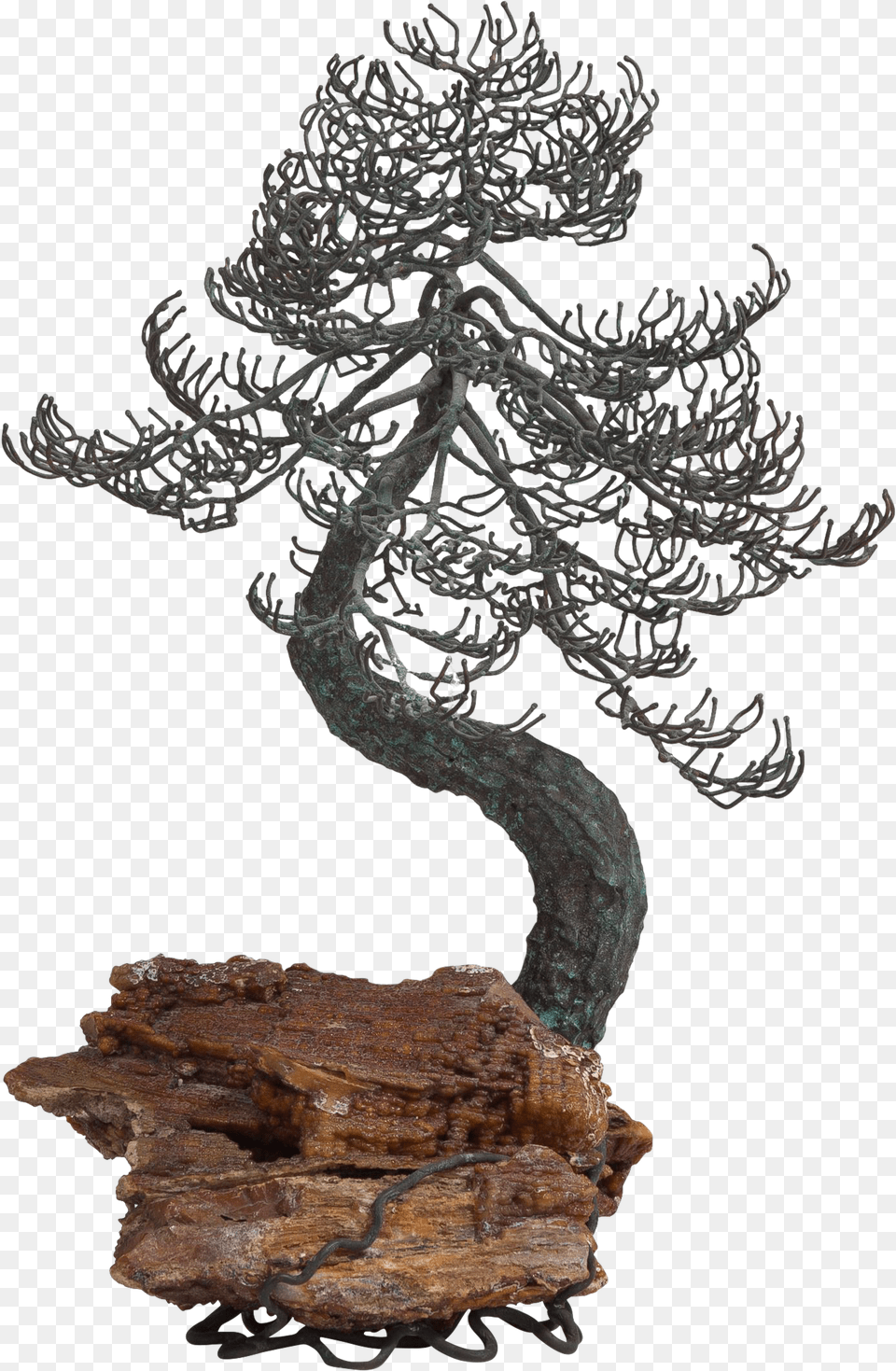 Bonsai Tree Bonsai, Plant, Potted Plant, Wood, Chandelier Free Png