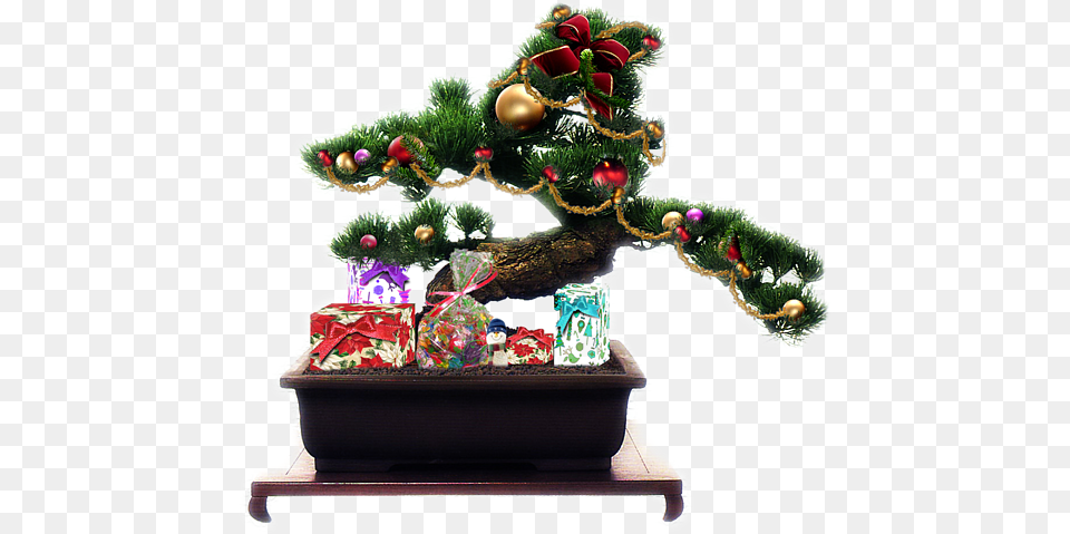 Bonsai Tree Christmas Decorations, Plant, Potted Plant Free Png