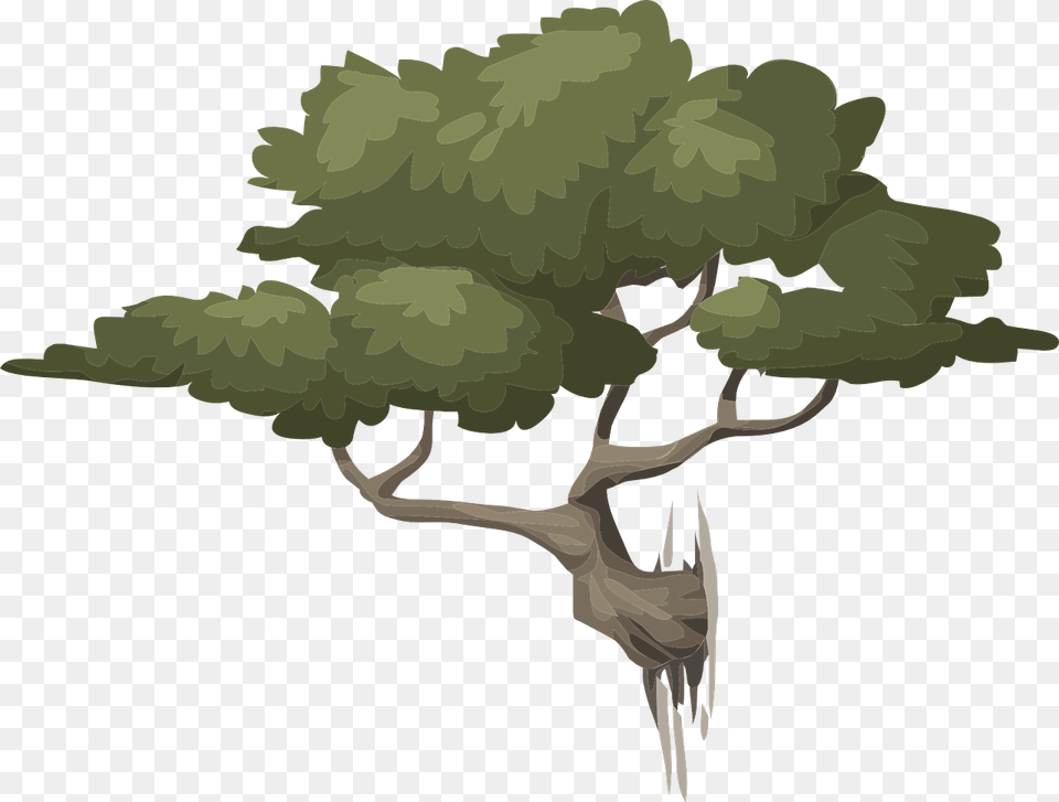 Bonsai Tree Clear Background, Plant, Animal, Deer, Mammal Png Image