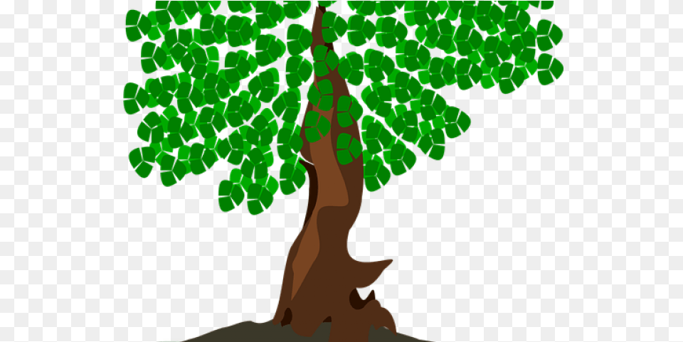 Bonsai Tree Clipart Bonsai Transparent Clipart, Green, Vegetation, Sycamore, Rainforest Free Png Download