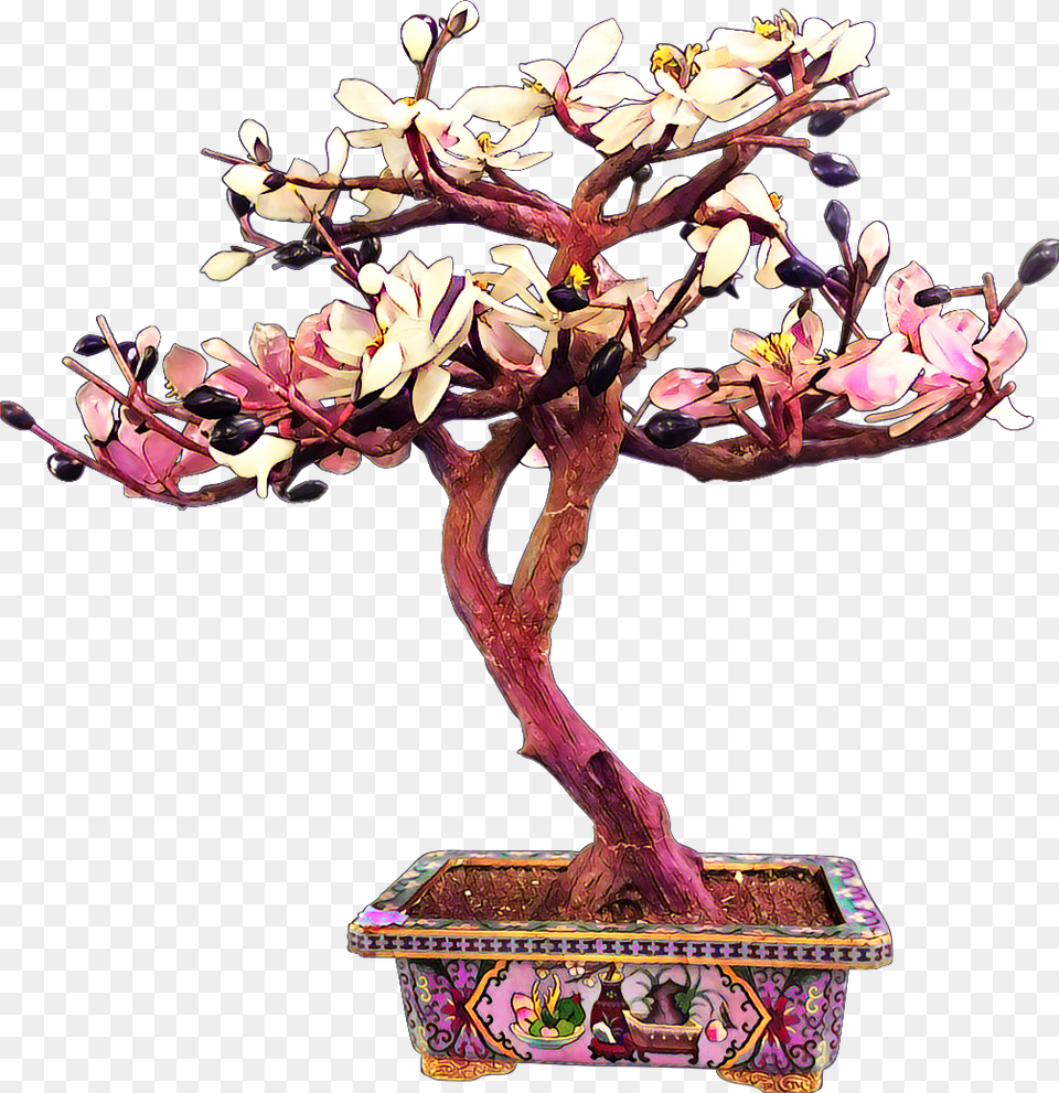 Bonsai Tree Flowers Leaves Multicolored Beautiful Cherry Blossom, Flower, Flower Arrangement, Plant, Potted Plant Free Png Download