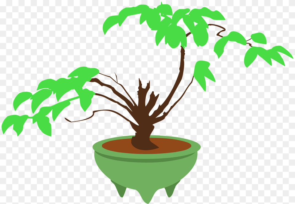Bonsai Tree In A Green Pot Clipart, Leaf, Plant, Potted Plant, Flower Png Image