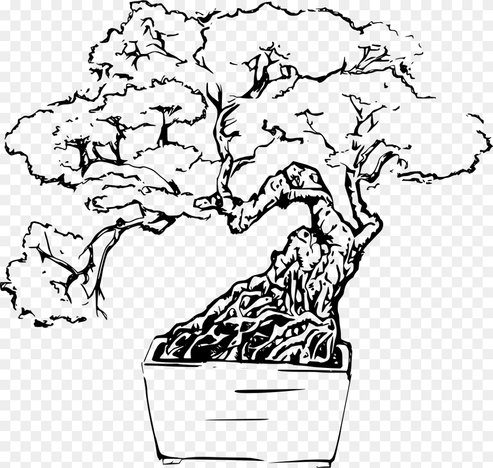 Bonsai Tree Line Art, Gray Free Png Download